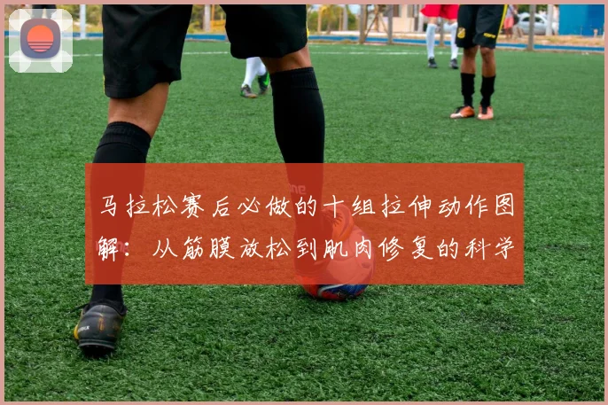 马拉松赛后必做的十组拉伸动作图解：从筋膜放松到肌肉修复的科学恢复体系