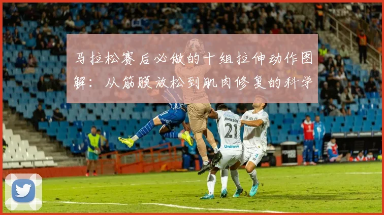 马拉松赛后必做的十组拉伸动作图解：从筋膜放松到肌肉修复的科学恢复体系